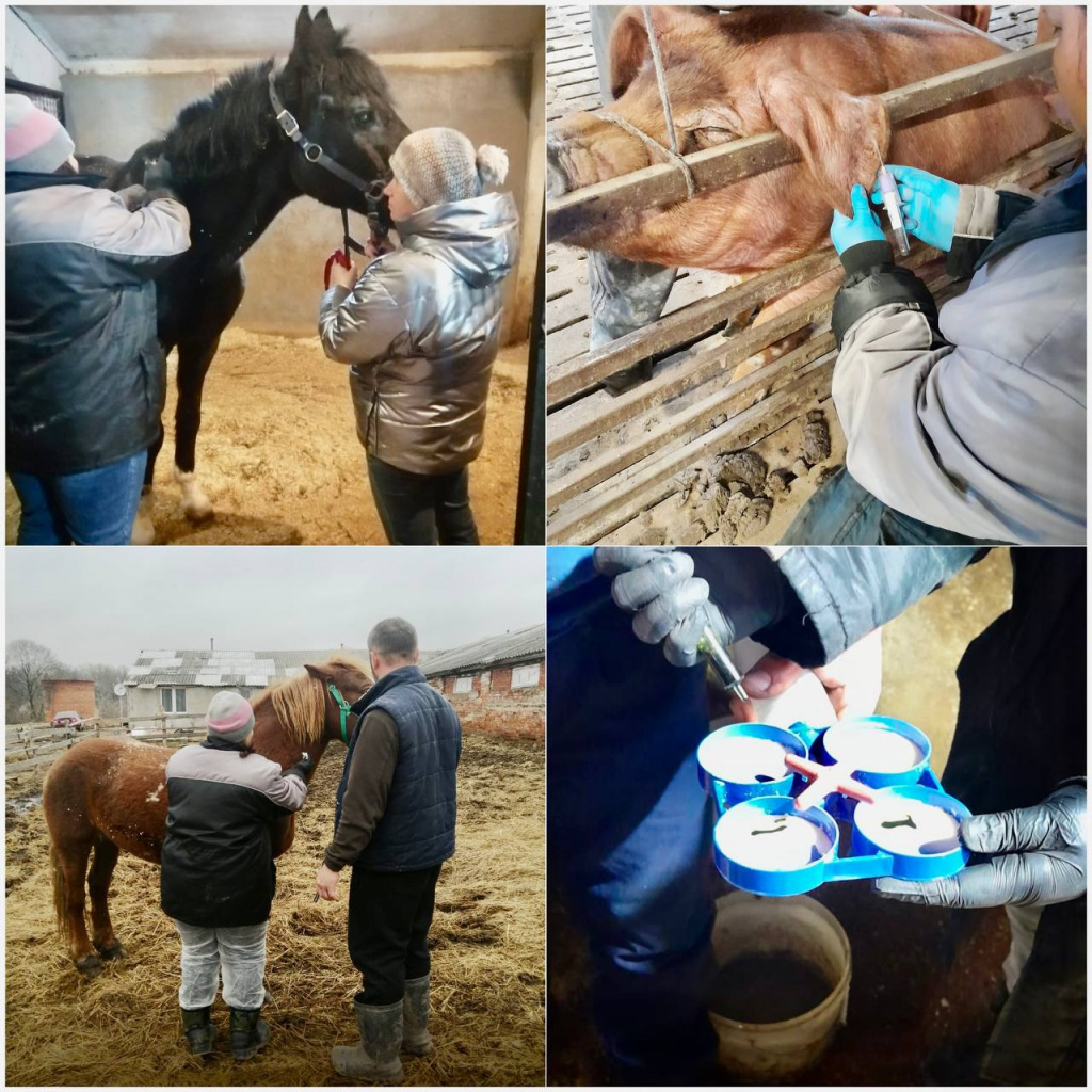 05.04.jpg