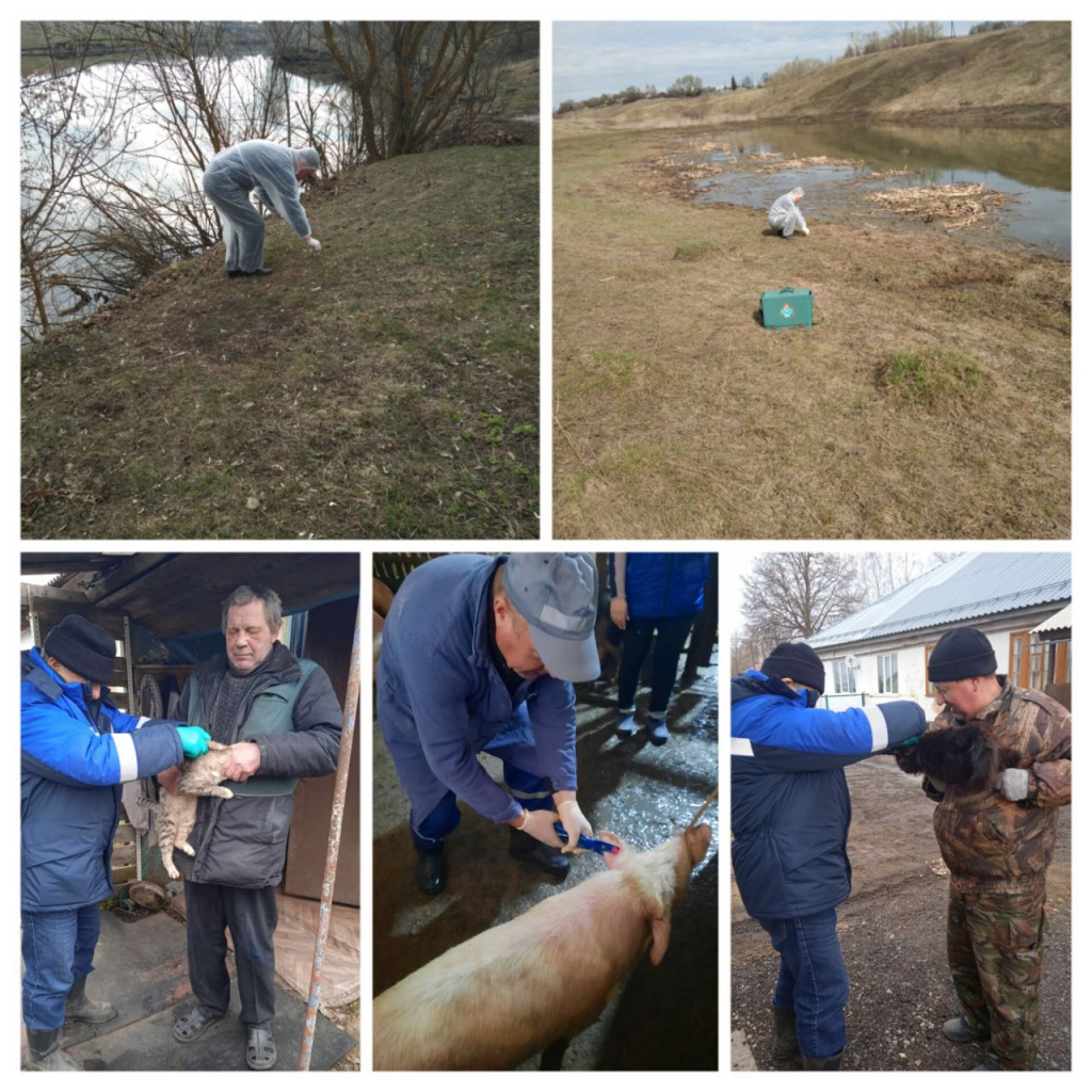 18.04.jpg