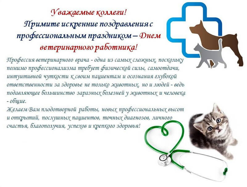 WhatsApp Image 2022-08-31 at 09.10.52.jpeg